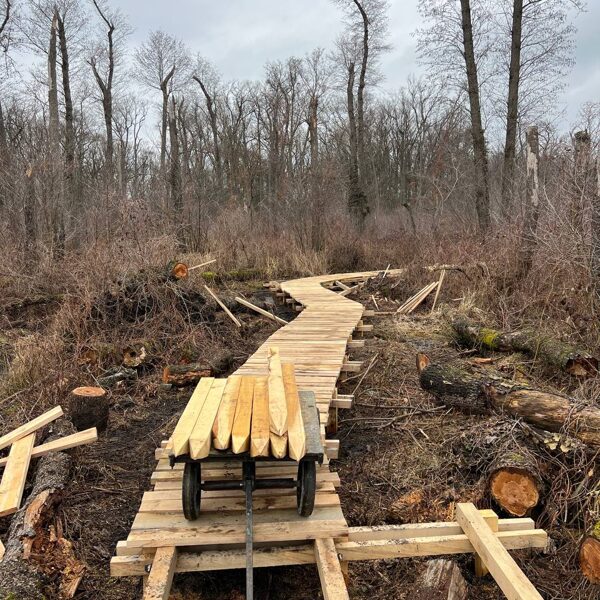 stavba lesni stezky v hodonine